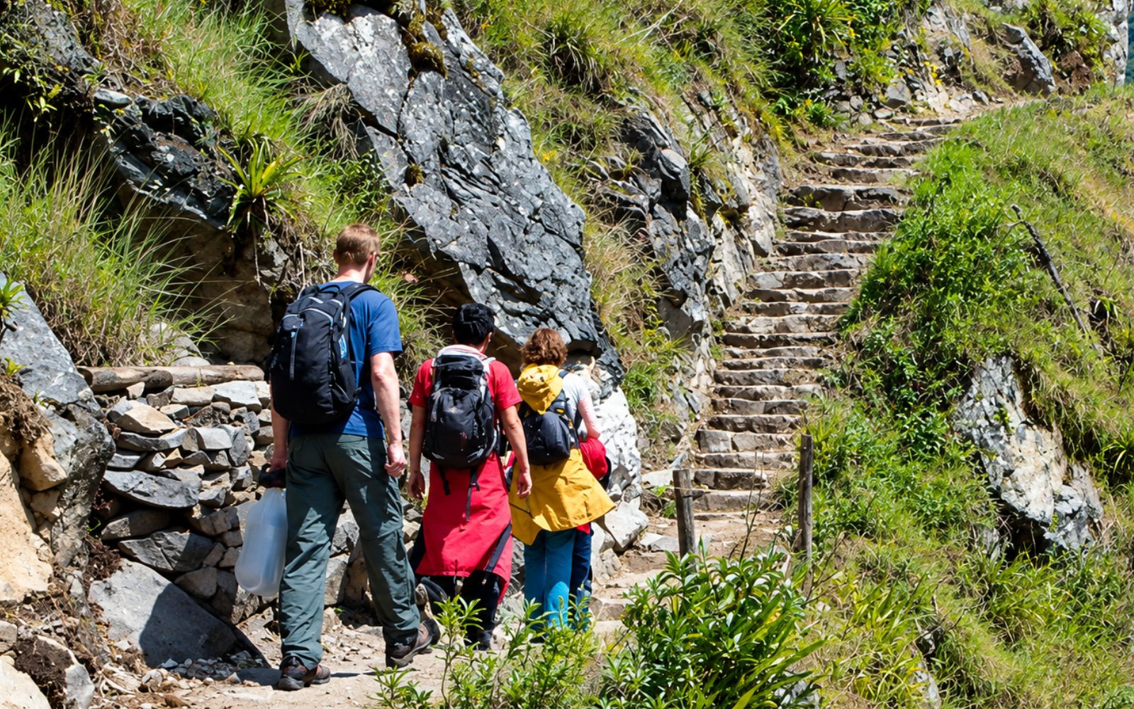 Viajeros subiendo un sendero de escalones de piedra entre vegetación